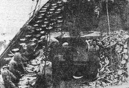Полным ходом идет обработка рыбы  - СРТ-4545  14 08 1969  фото матроса В.  Шуржунова