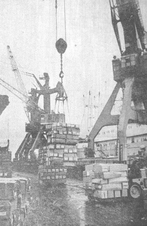 Рыбный порт Таллина -19 04 1977