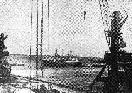 На рейде Таллинского морского рыбного порта. –  29 05 1984