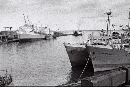 Таллинский рыбный морской порт  -  04 1966