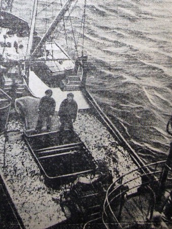 ПТС доставил свежую кильку  рыбколхоза им Кирова на ПР  Советская Родина на Балтике 17 октября  1972