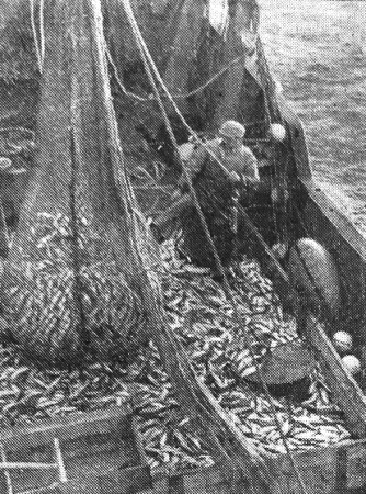 на  промысле  в  Северном  море - СРТР- 9041  01 05 1965 фото стармеха  Женовак  Николая.