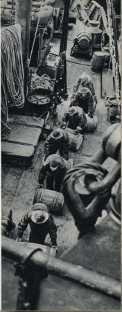 выгрузка сельди в порту СРТ-4481 1959 год