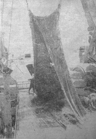 Рабочий   момент   на   палубе  судна - PTM-7510   Мустъярв  09 01 1975
