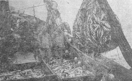 Трудовые   будни   рыбаков - СРТ-4480 08 01 1977