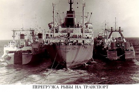 ЭТ-0235 ТР Ботнический залив