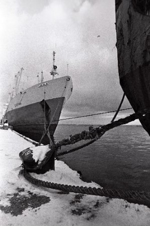 Рыбный порт Таллина в  ноябре  1989