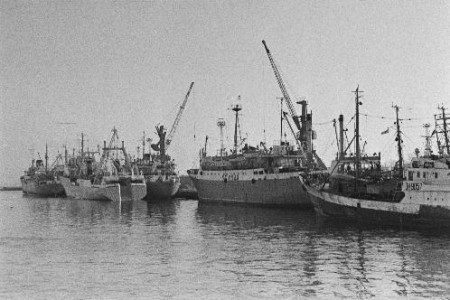Таллинский рыбный морской порт  - 01 1974