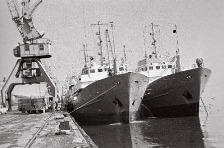Вид на Рыбный порт Таллинна  1972
