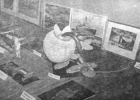 одна из работ  Л.  Хустнутдинова  на выставке  профсоюзной конференции  -   ЭРПО Океан 23 11 1974