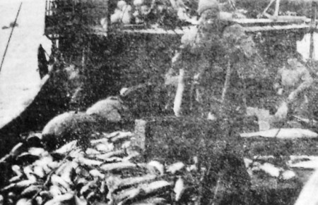 Рыбодобытчики на боевых постах – СРТ-4259  04 12 1970