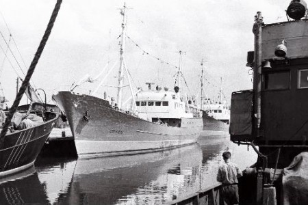 Старый рыбный  порт  Таллинна .1960
