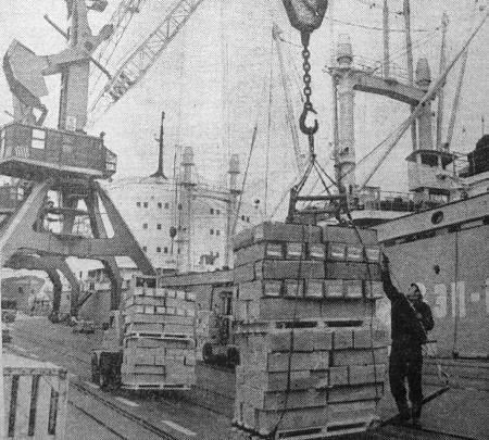 Таллинский   морской  рыбный   порт.    Идет  выгрузка   рыбной  продукции – 21 10 1976