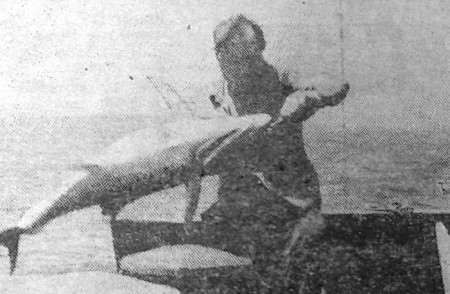 Сидоренок Ф. старший электромеханик  поймал тунца - ПБ  Рыбак   Балтики  03 12 1974