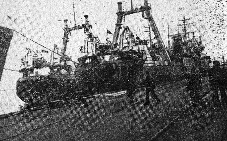 Будни Таллинского морского рыбного порта – 24 07 1979