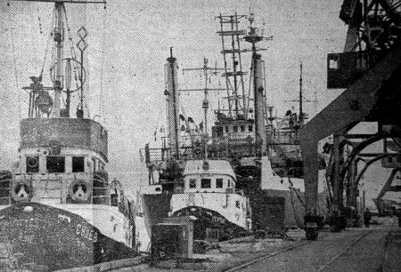 Тесно  у  причалов Таллинского  морского рыбного порта. - 14 04 1977