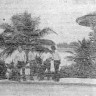 моряки с Инея в  туристическом комплексе любуется тропическими растениями - Абиджан ТР Иней 03 04 1975
