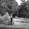Молодежь ЭРПО Океан на сеноуборке в одном из эстонских  совхозов. - 23 07 1971