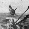 У берегов Африки  в гостях на СРТР-9057  побывала цапля  - 07 04 1971
