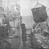 Волошин помощник рыбмастера руководит приемкой свежья с кошелька -  ПБ  Станислав Монюшко 19 08 1976