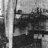 У  причалов   Таллинского  рыбного  порта. 25  01 1983