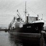ПБ Украина после экспедиции за селедкой в Северной Атлантике в порту -  УСЛ 12 1957