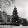 Новогдняя елка на площади Победы в Таллинне   1965