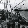 рыбаки ТБОРФ на лове сельди   1968