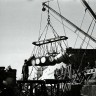 Выгрузка рыбы с ПР Советская Родина в Рыбном порту Талинна  1962-1965