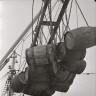 разгрузка судна в Таллинском рыбном порту  1965
