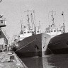 Вид на Рыбный порт Таллинна  1972