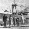 Родственники встречают судно - ПР Саяны 05 06 1970