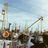 Таллиннский Рыбный порт.1990