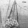 Идет погрузка тары в море – ТБОРФ  31 03 1965 фото Б. Александрова