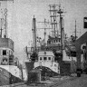 Тесно  у  причалов Таллинского  морского рыбного порта. - 14 04 1977